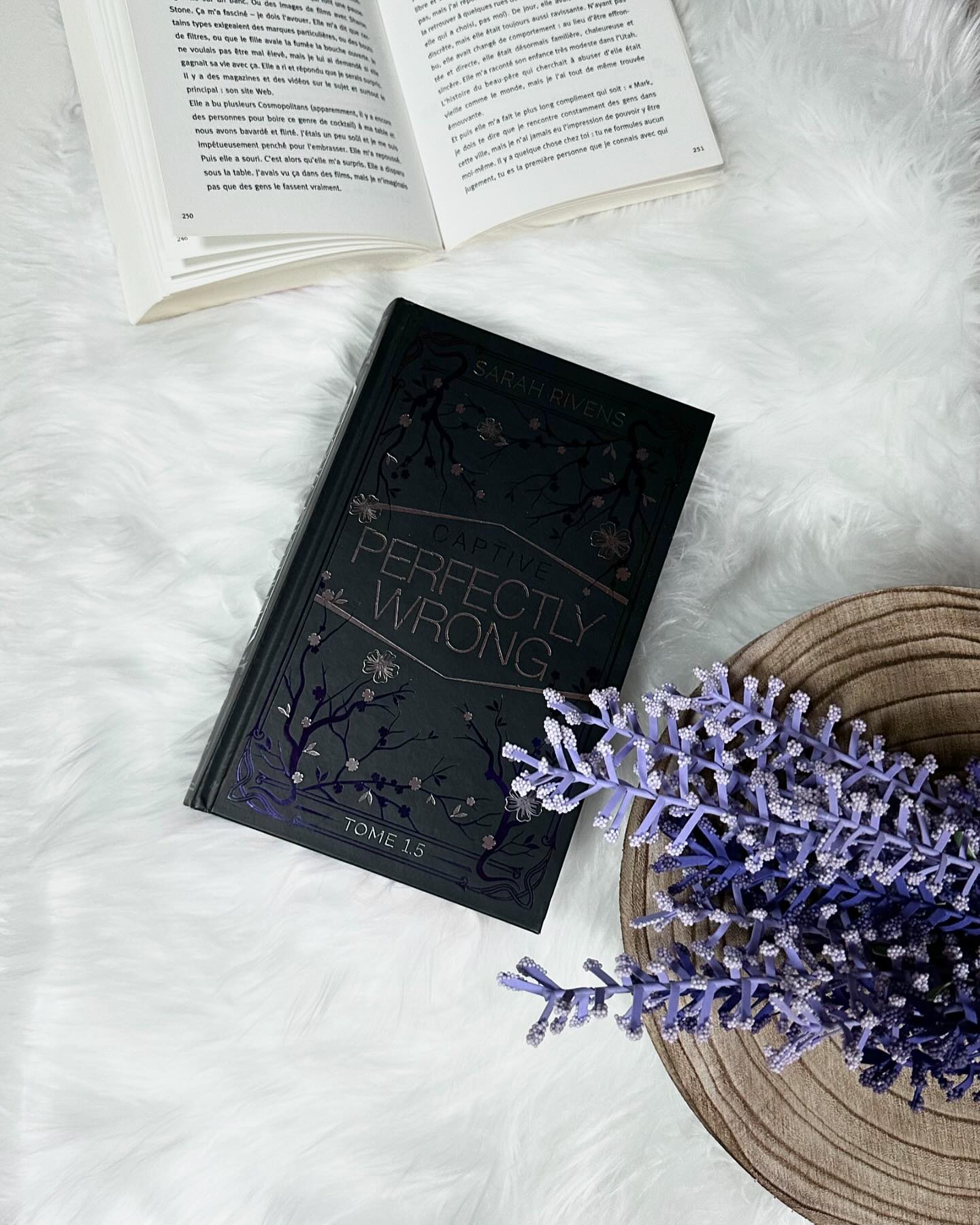 ╰♡ 𝕃𝕖𝕔𝕥𝕦𝕣𝕖 𝕥𝕖𝕣𝕞𝕚𝕟𝕖́𝕖 ⁹

ᴄᴀᴘᴛɪᴠᴇ ₁.₅ ⤸
⁶²⁵ ᴾᵃᵍᵉᶳ

୨୧ ┇𝒜𝓊𝓉𝑒𝓊𝓇 @sarahrivens 
୨୧ ┇𝐸́𝒹𝒾𝓉𝑒𝓊𝓇 @editions_bmr 

𝐌𝐨𝐭𝐬 𝐜𝐥𝐞́𝐬 ⤸
↝ Ma