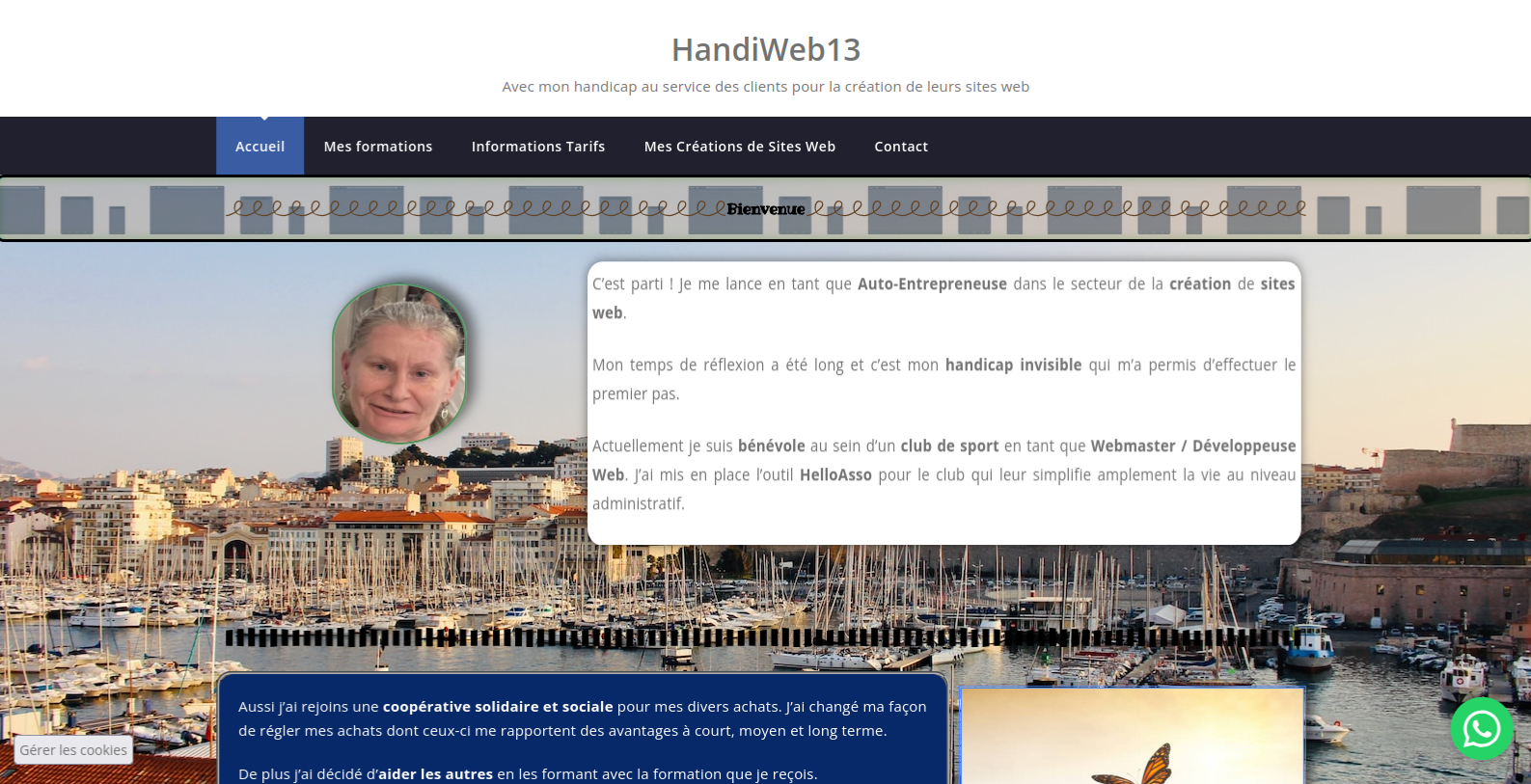 HandiWeb13 thumbnail