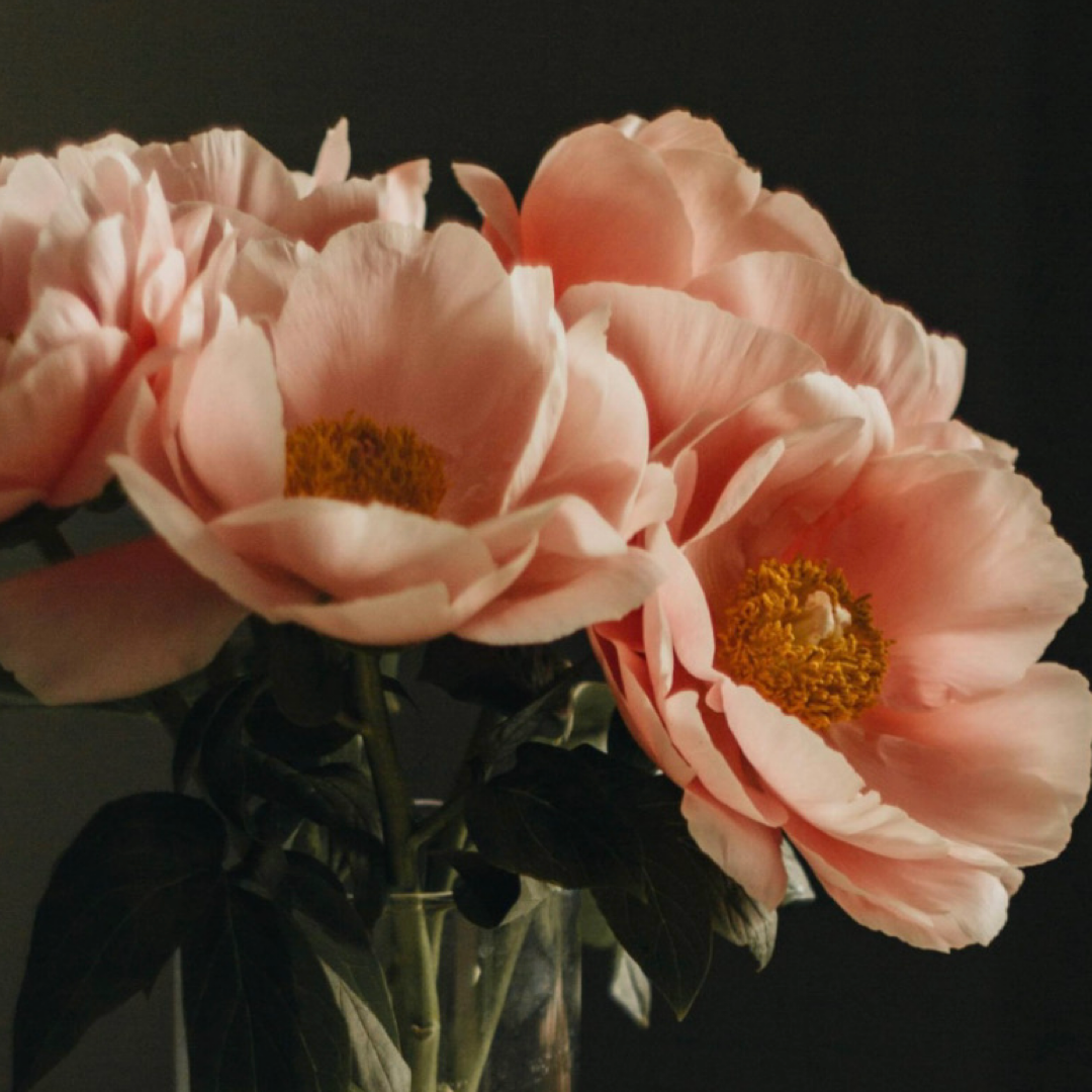 Read our newsletter thumbnail