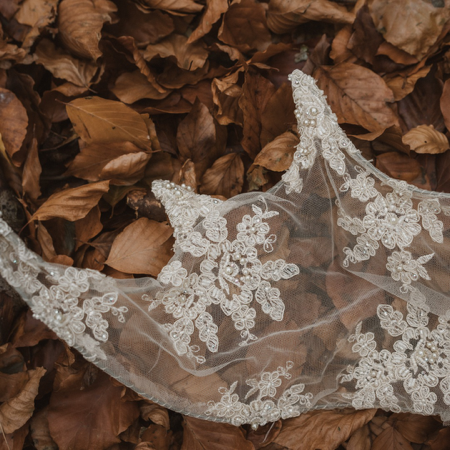 Join MiTribe Telegram Channel  thumbnail