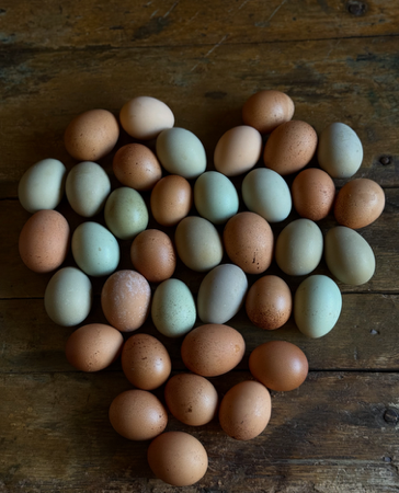 thrive market discount +  freebies thumbnail