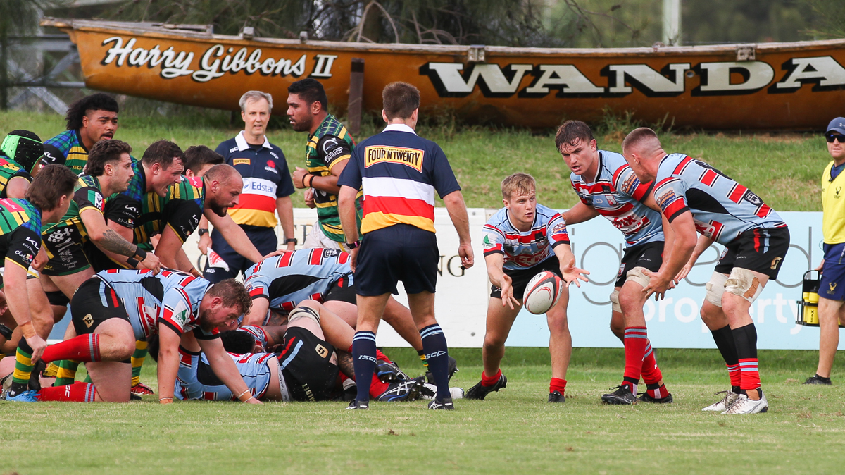 BioSite banner for @rugby