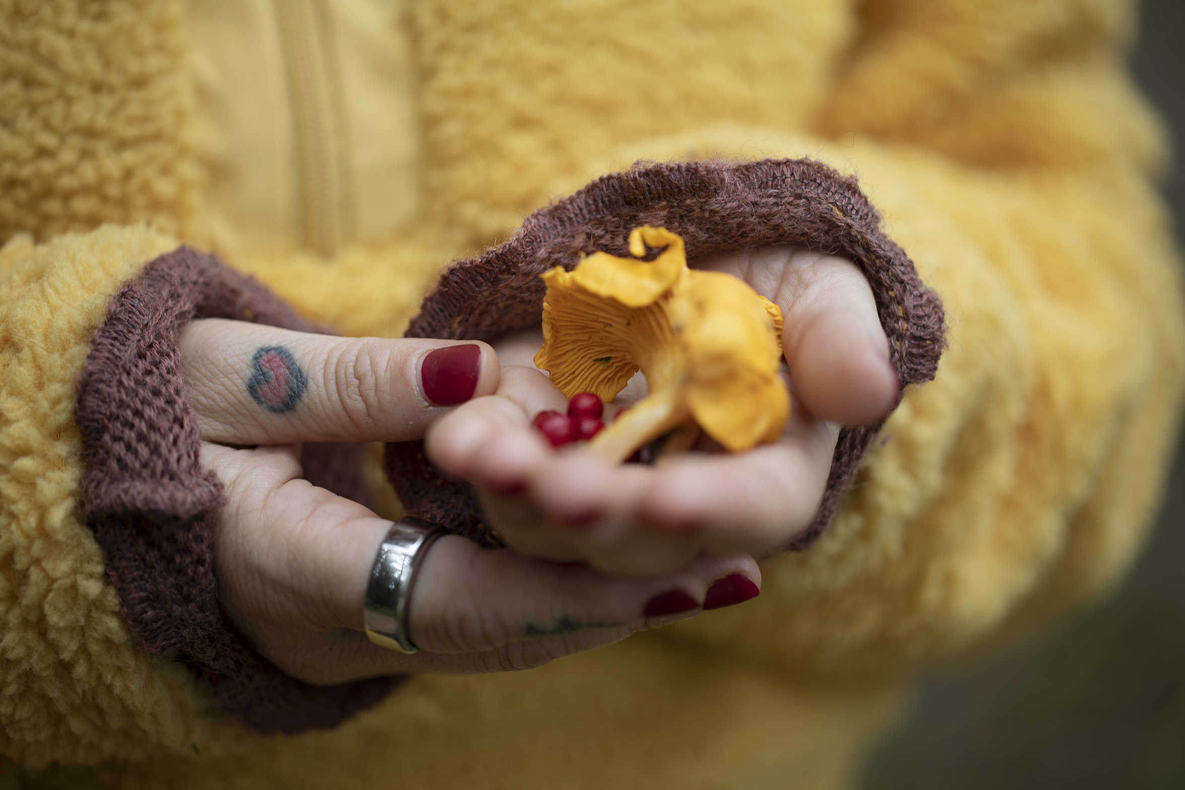 Wild Grove   thumbnail