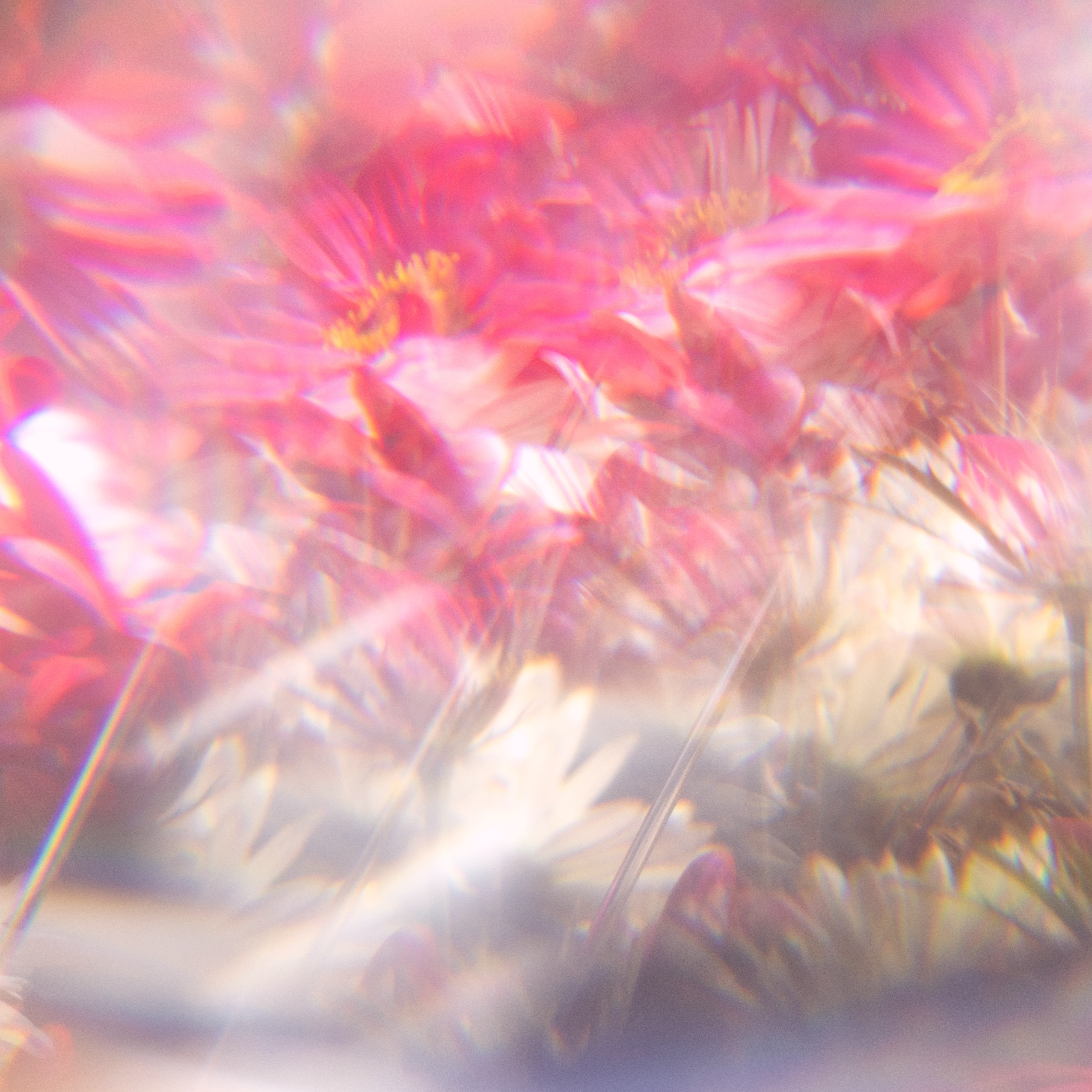 Fine Art Instagram thumbnail