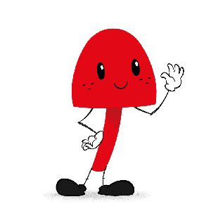 Quercetti Youtube thumbnail