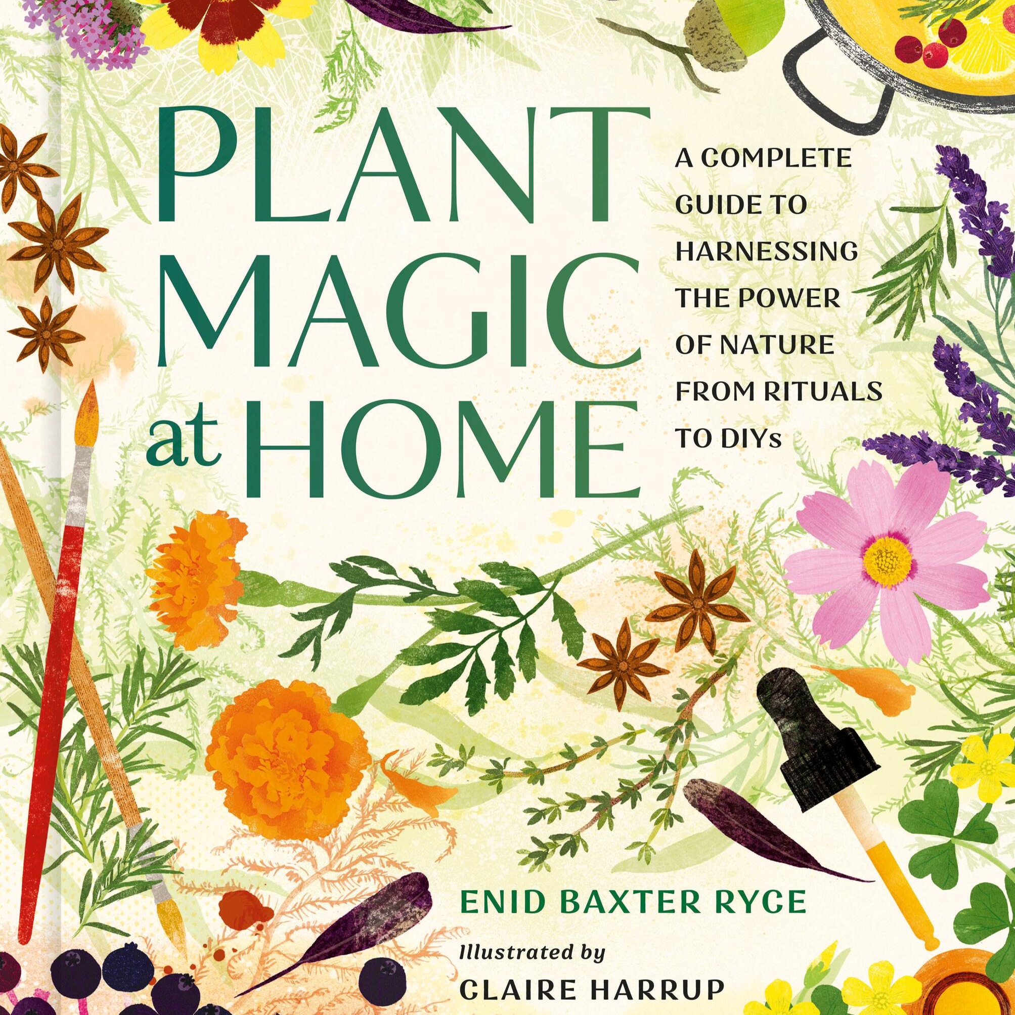 Pre-order: Plant Magic at Home thumbnail