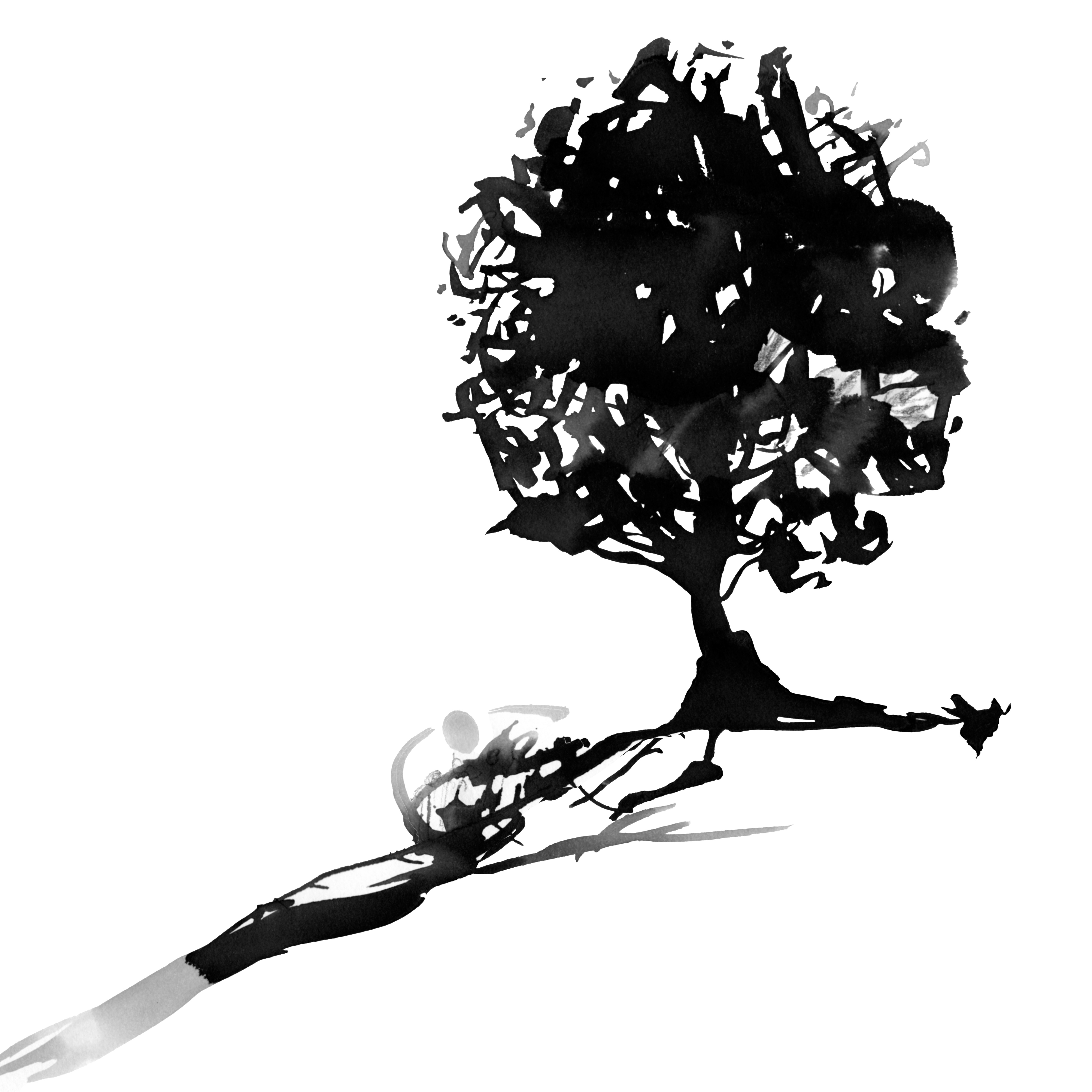 Book of Trees | Substack thumbnail