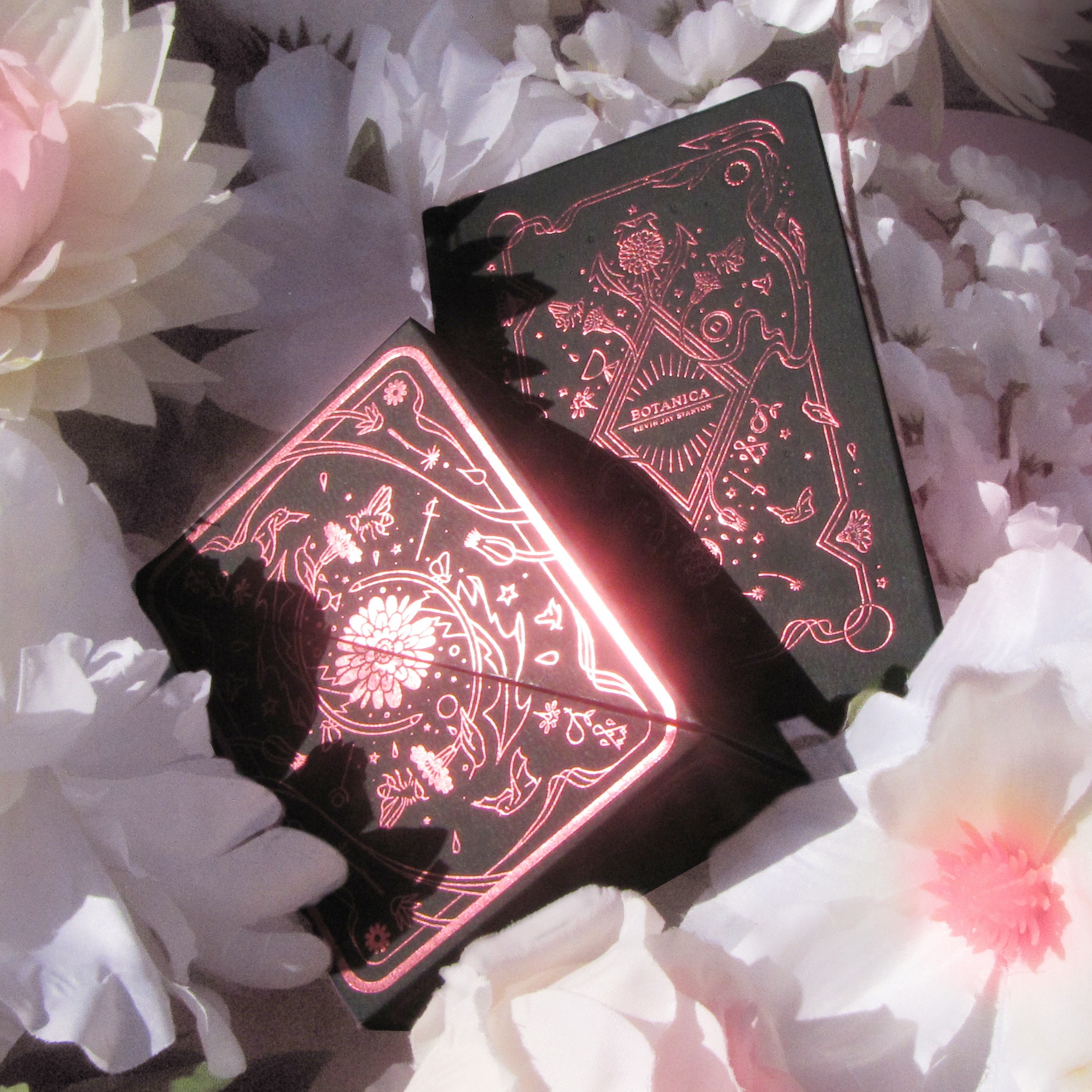 BOTANICA: Full Bloom Available Now! thumbnail