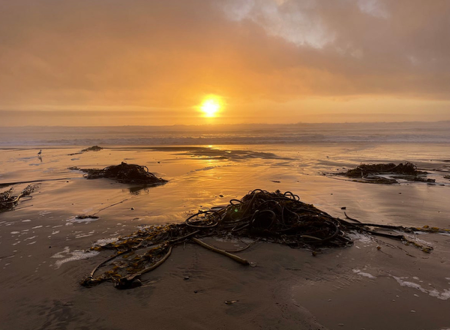 NEWSLETTER  sign-up thumbnail