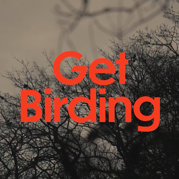 [LISTEN] Get Birding with Sean Bean thumbnail