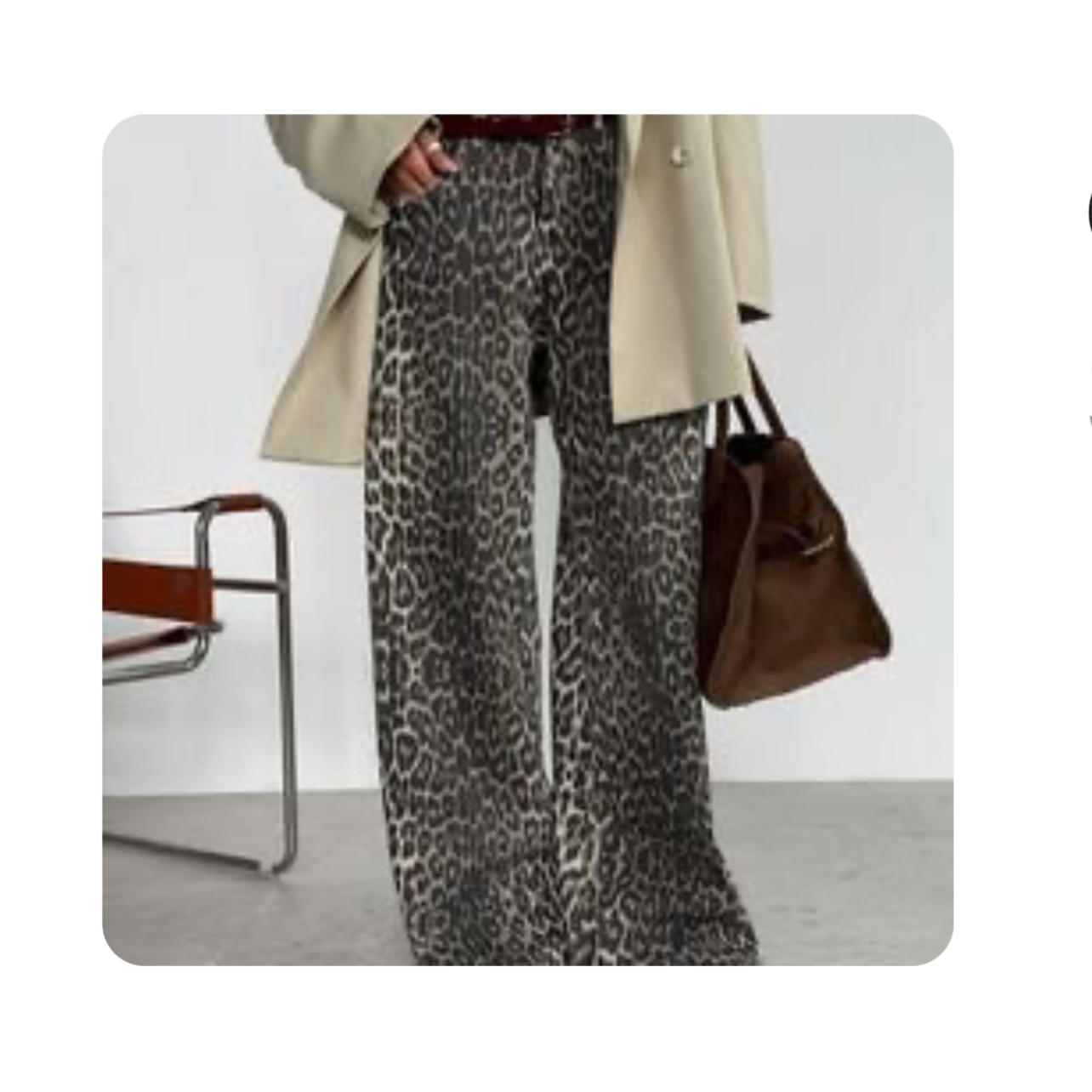 Leopard print jeans thumbnail