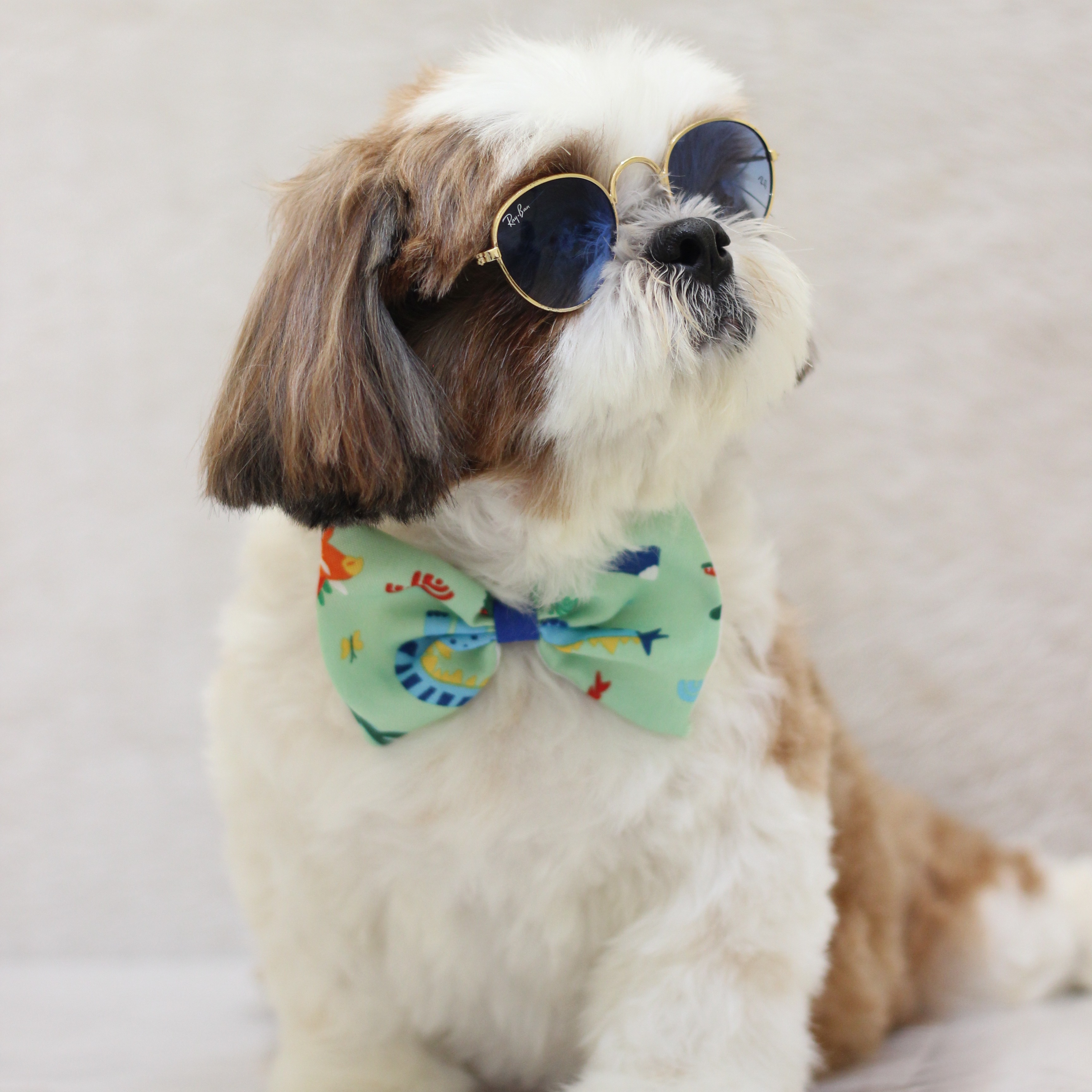 Sessões de Fotos thumbnail