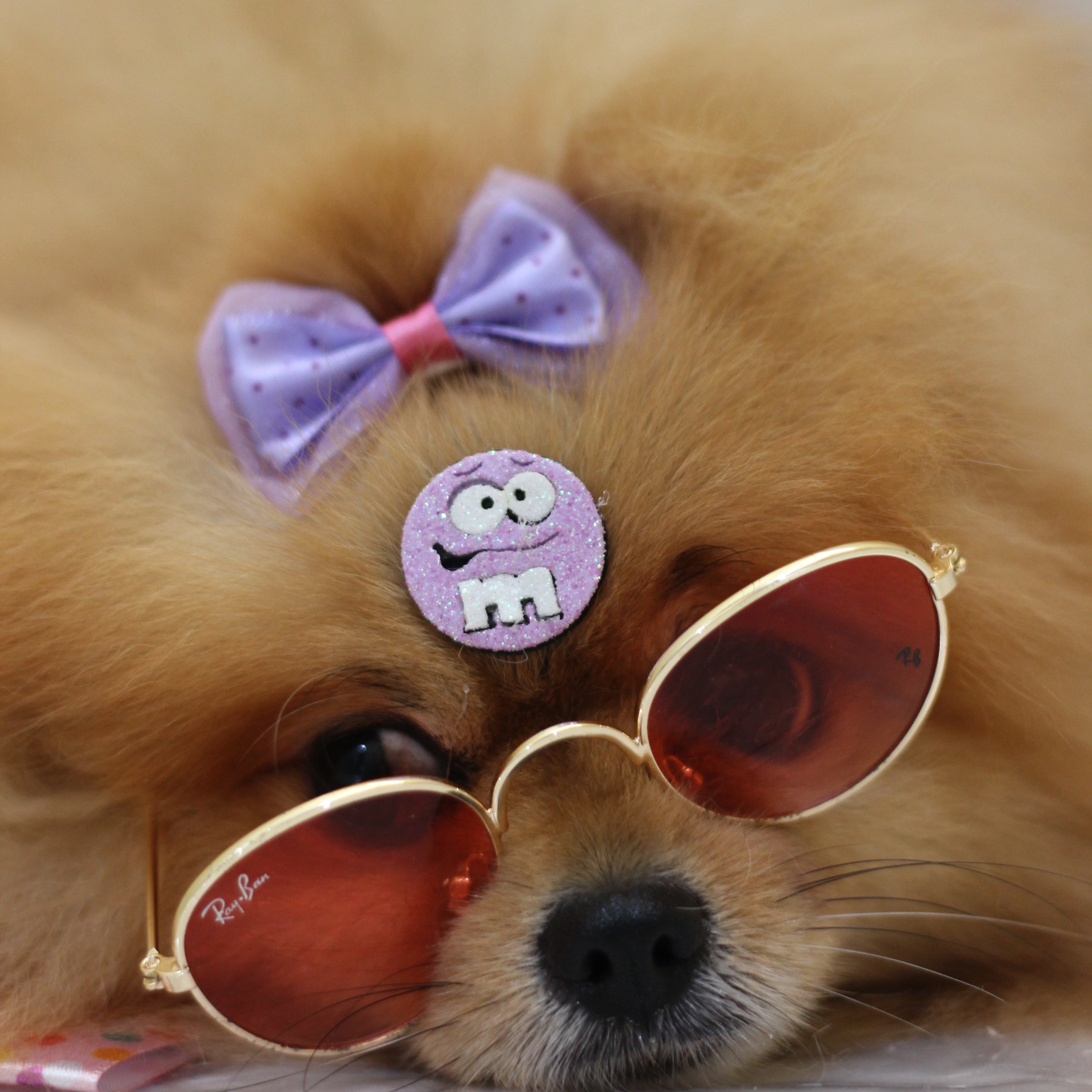 Regulamento Pacotes thumbnail