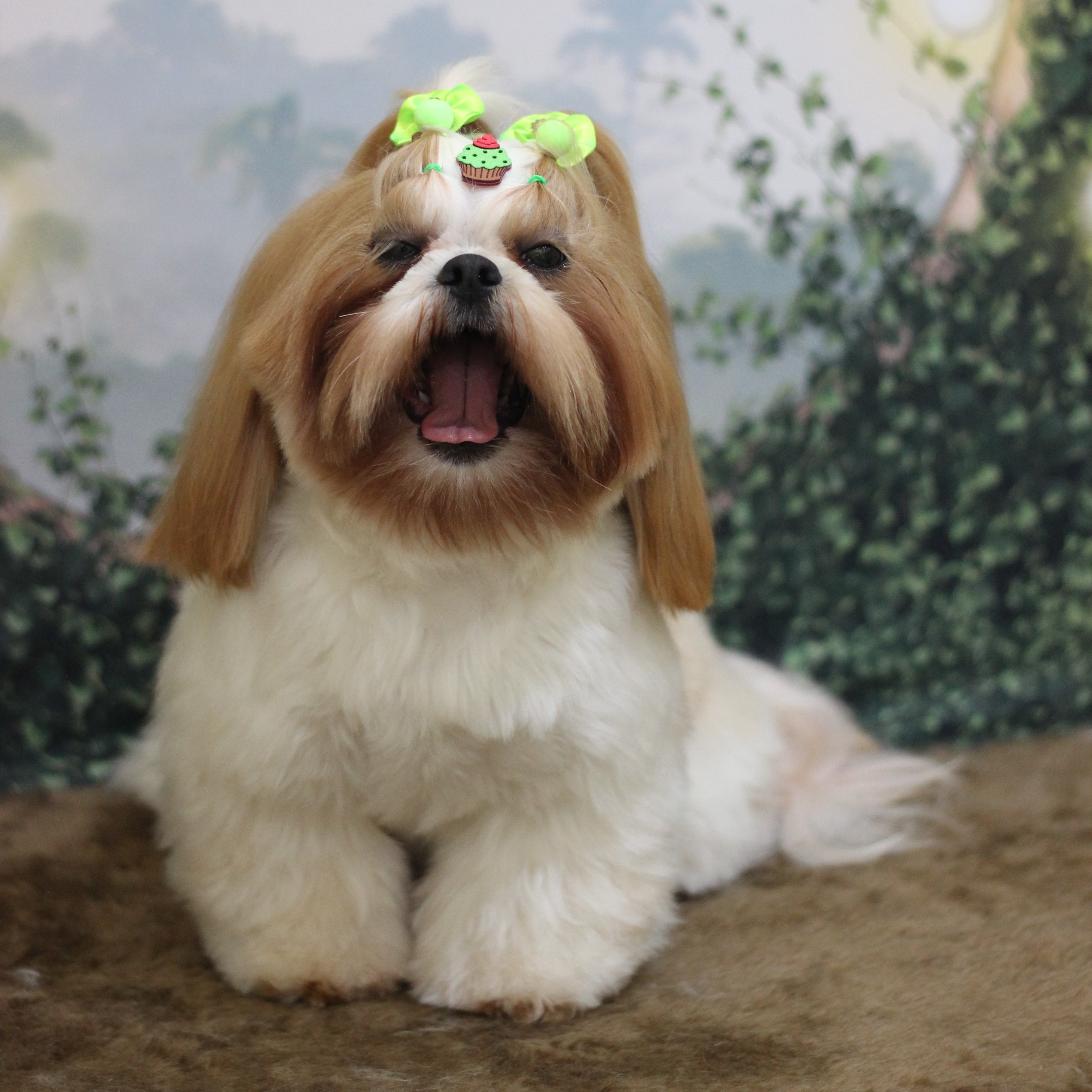 Valor dos Banhos thumbnail