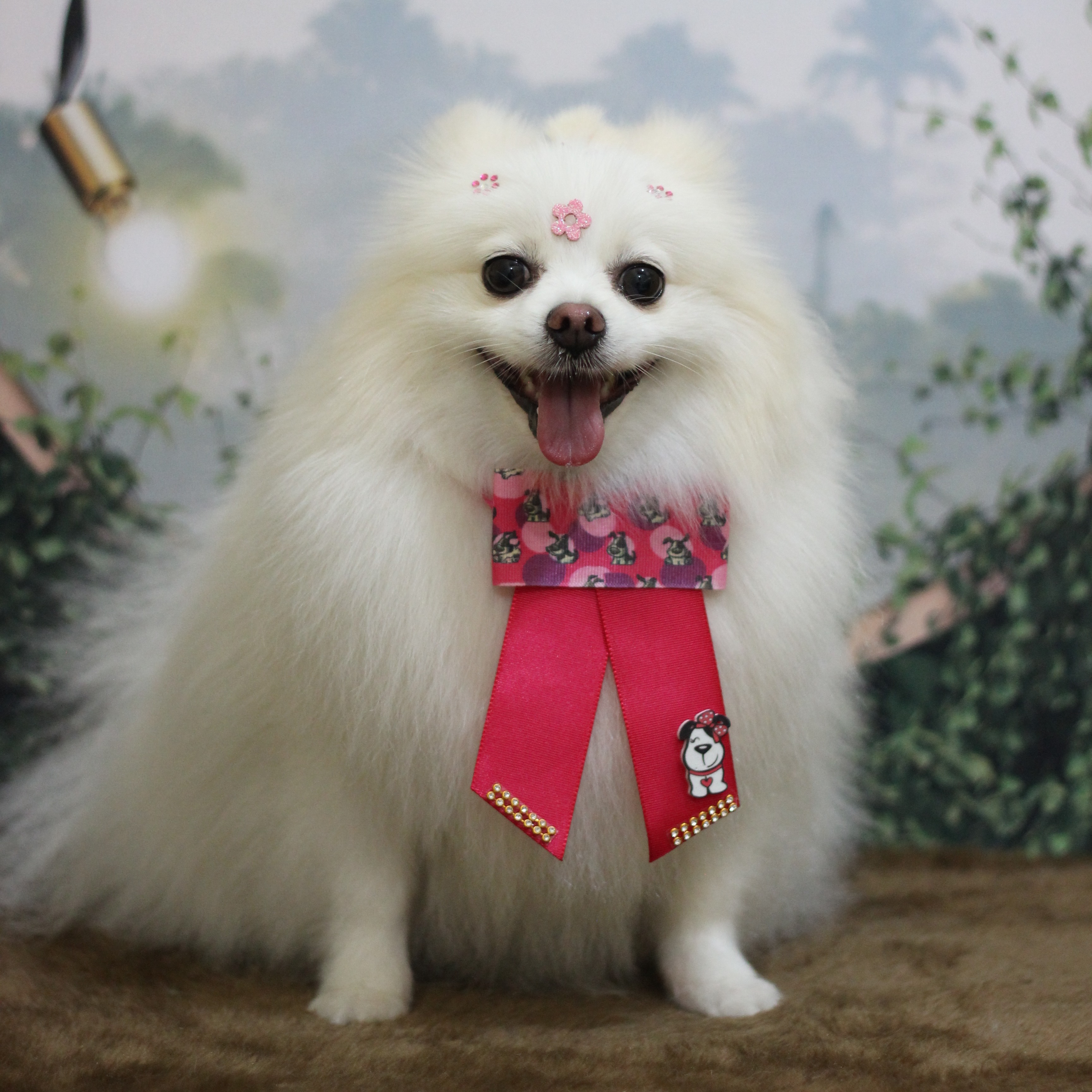 Agendamento thumbnail