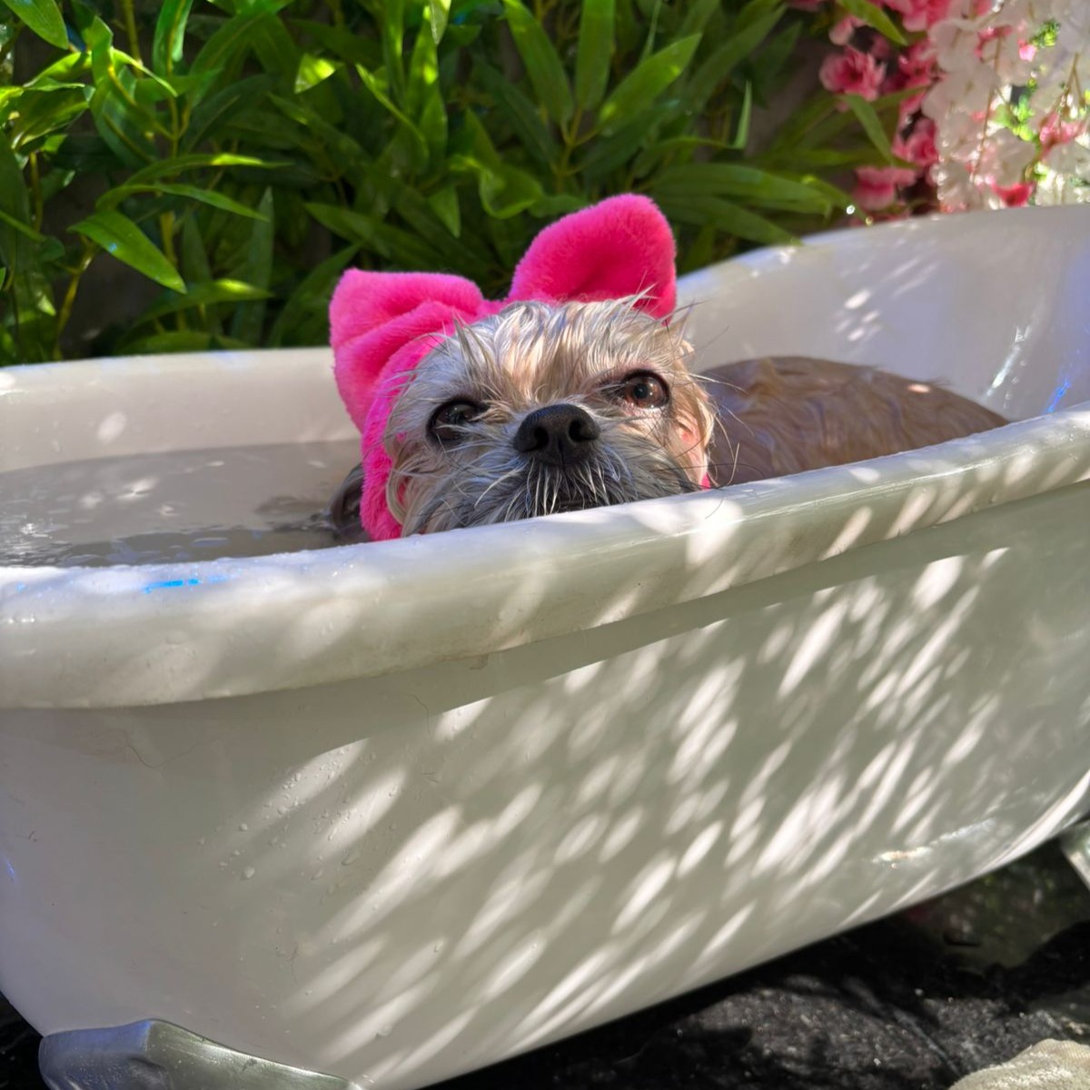 Valor de Pacotes thumbnail