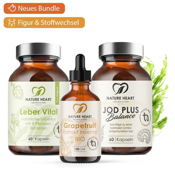 FIGUR TRANSFORMATIONS Bundle (-36%) thumbnail