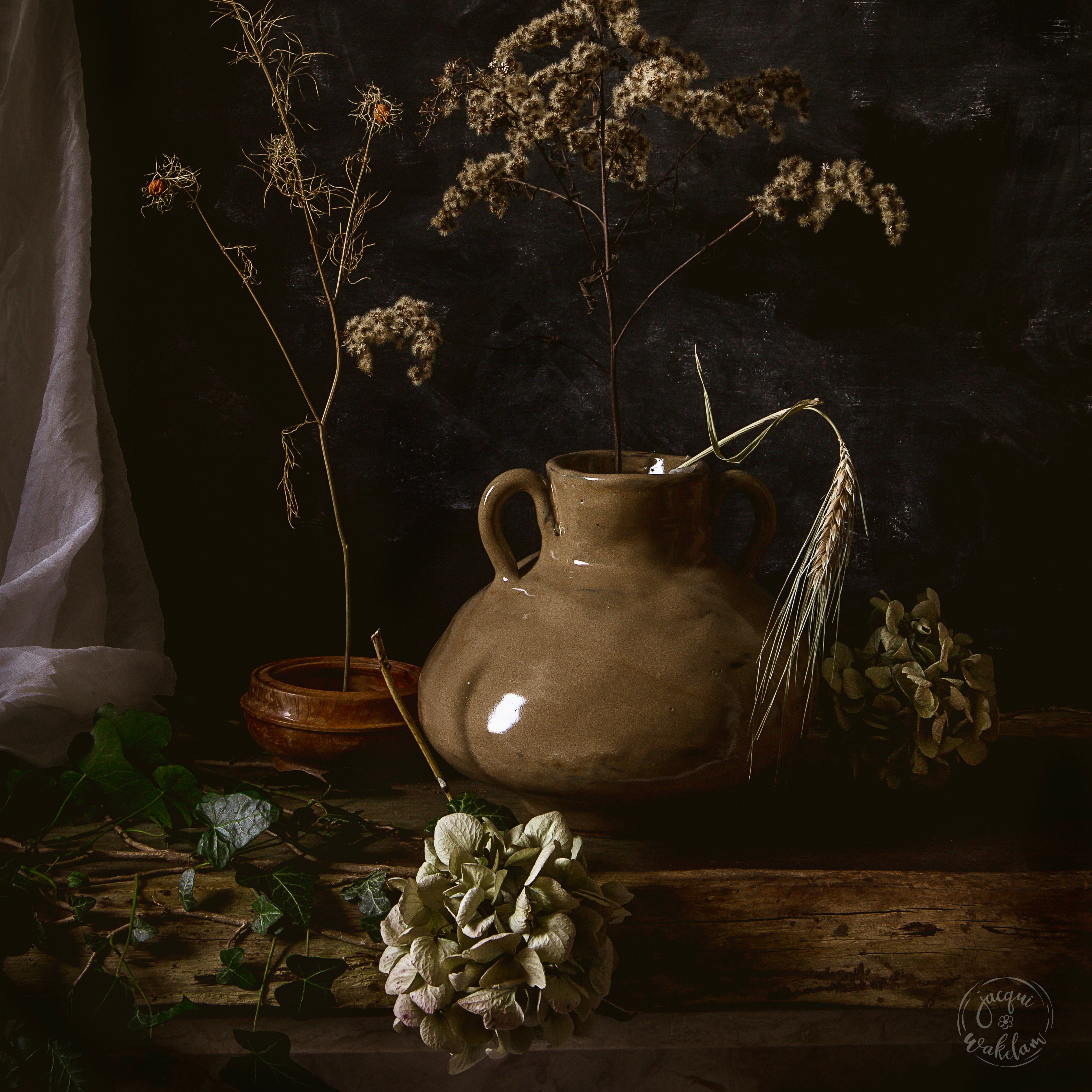 Nov Beagle - Rupture and the Road to Blessing thumbnail