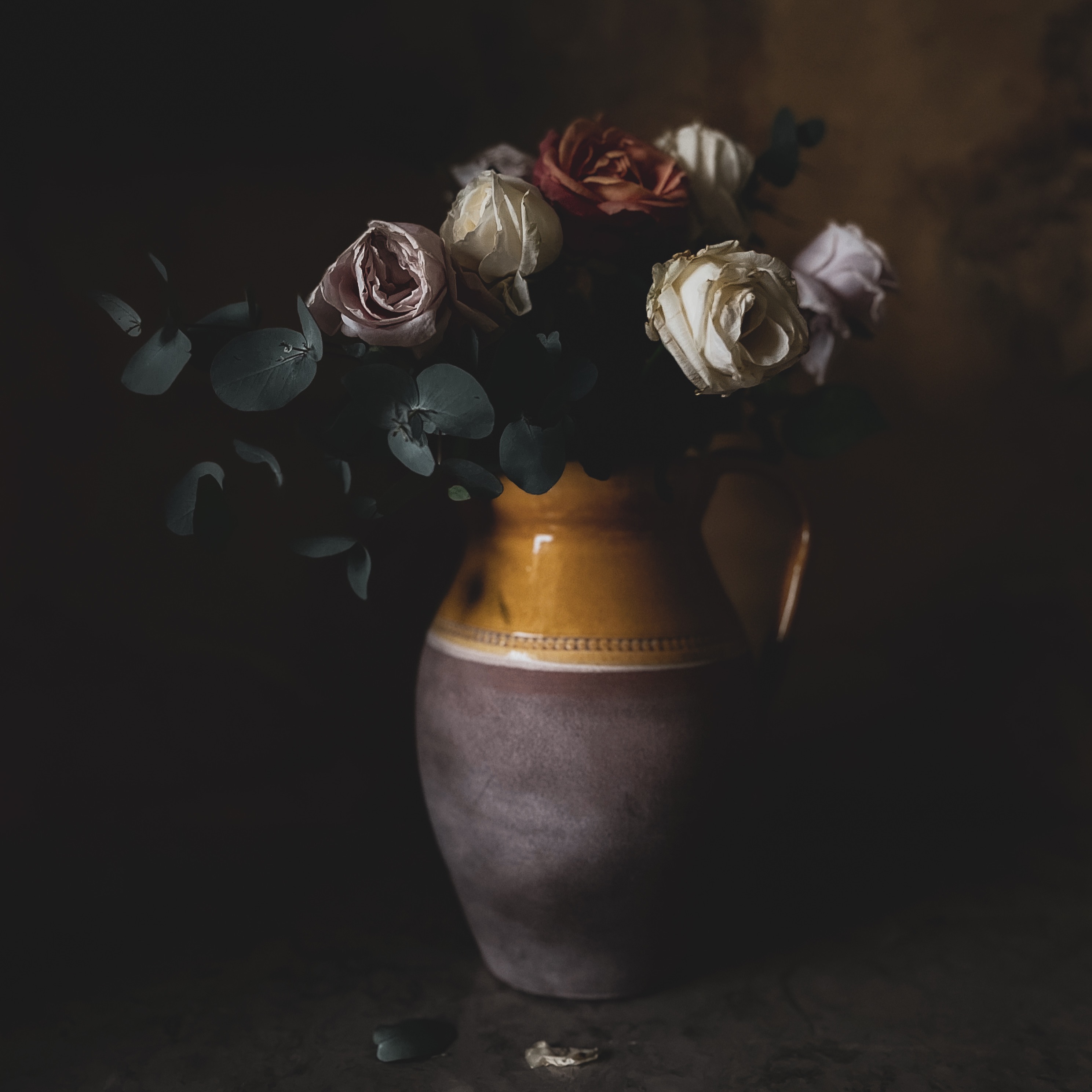 Feb Beagle - Telling a True But Incomplete Story thumbnail