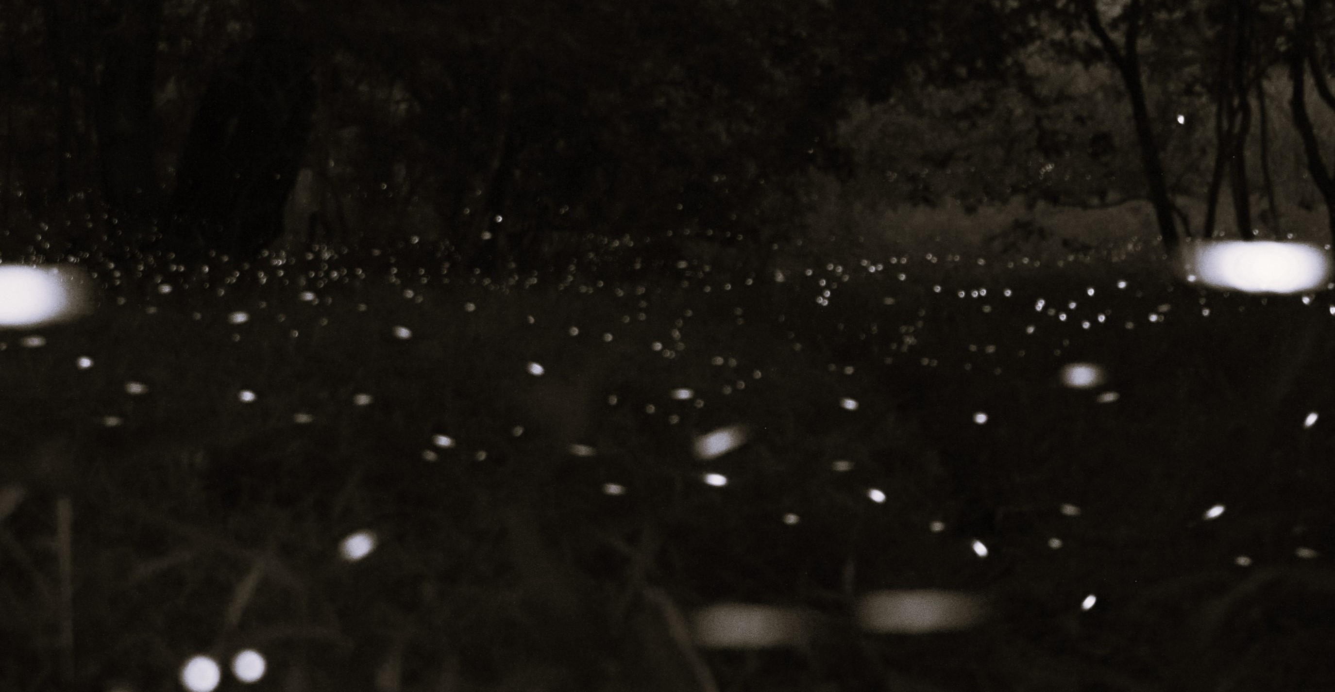 La Piccioletta Barca | Poems by Meredith Chester (October 2024) thumbnail