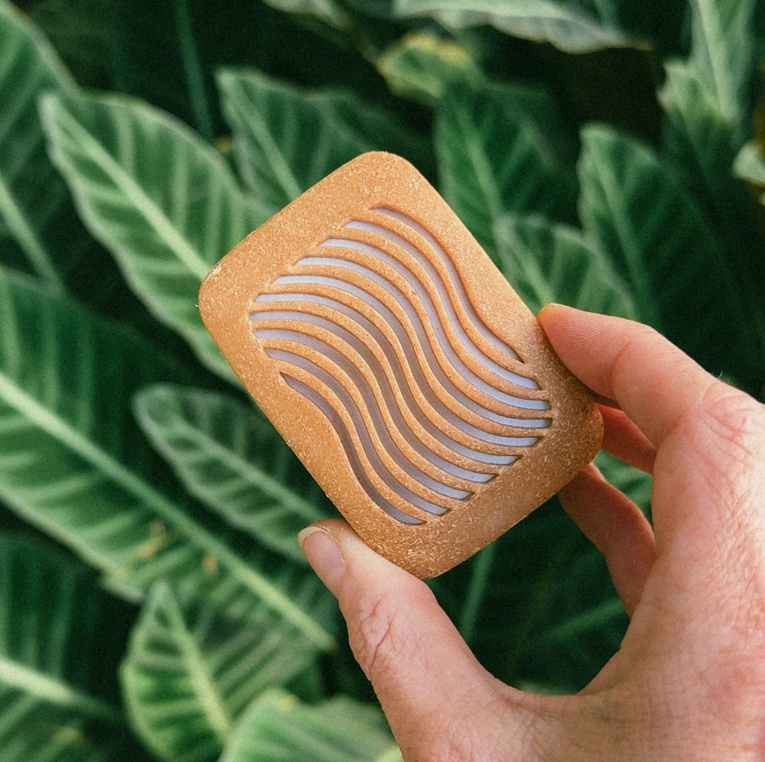 PlantWave: Plant Singing Device 🌿 thumbnail