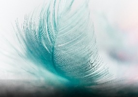 MEDITACIJA_instant poduka 30min 60€ thumbnail