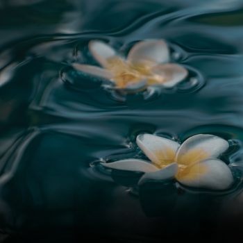 Izvori inspiracije thumbnail