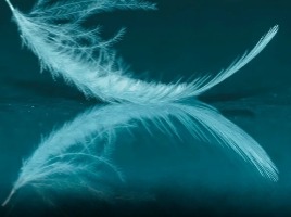 MEDITACIJA_instant  poduka    15min   30€ thumbnail