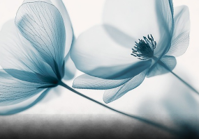 Intuitivni energetski tretman   1:1   30min   50€ thumbnail