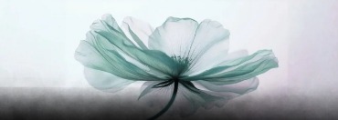 Intuitivni energetski tretman      1:1     60min    90€ thumbnail