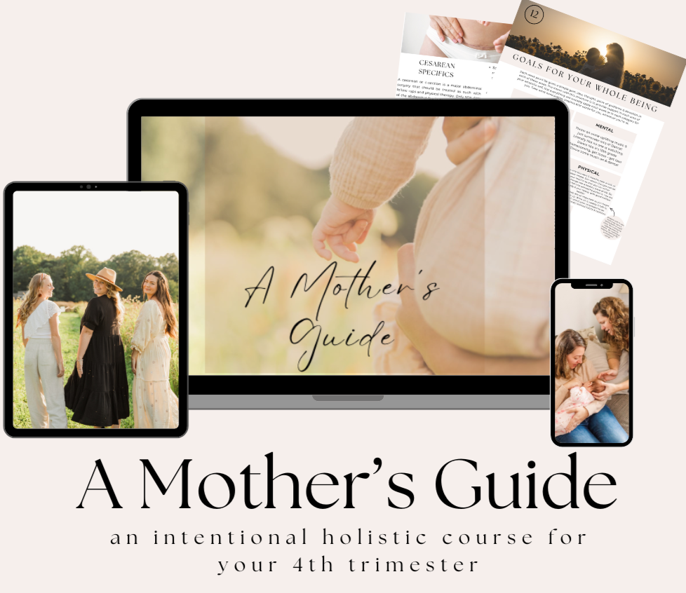 12 week eCourse thumbnail