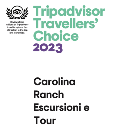 Trip advisor thumbnail