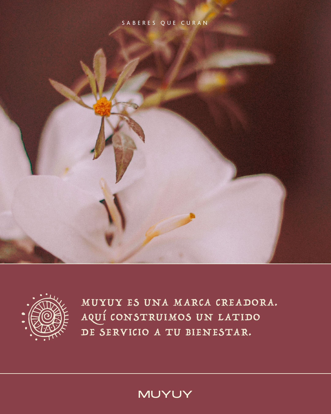 NUESTRA WEB✨ thumbnail