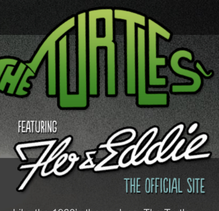 The Turtles Website thumbnail