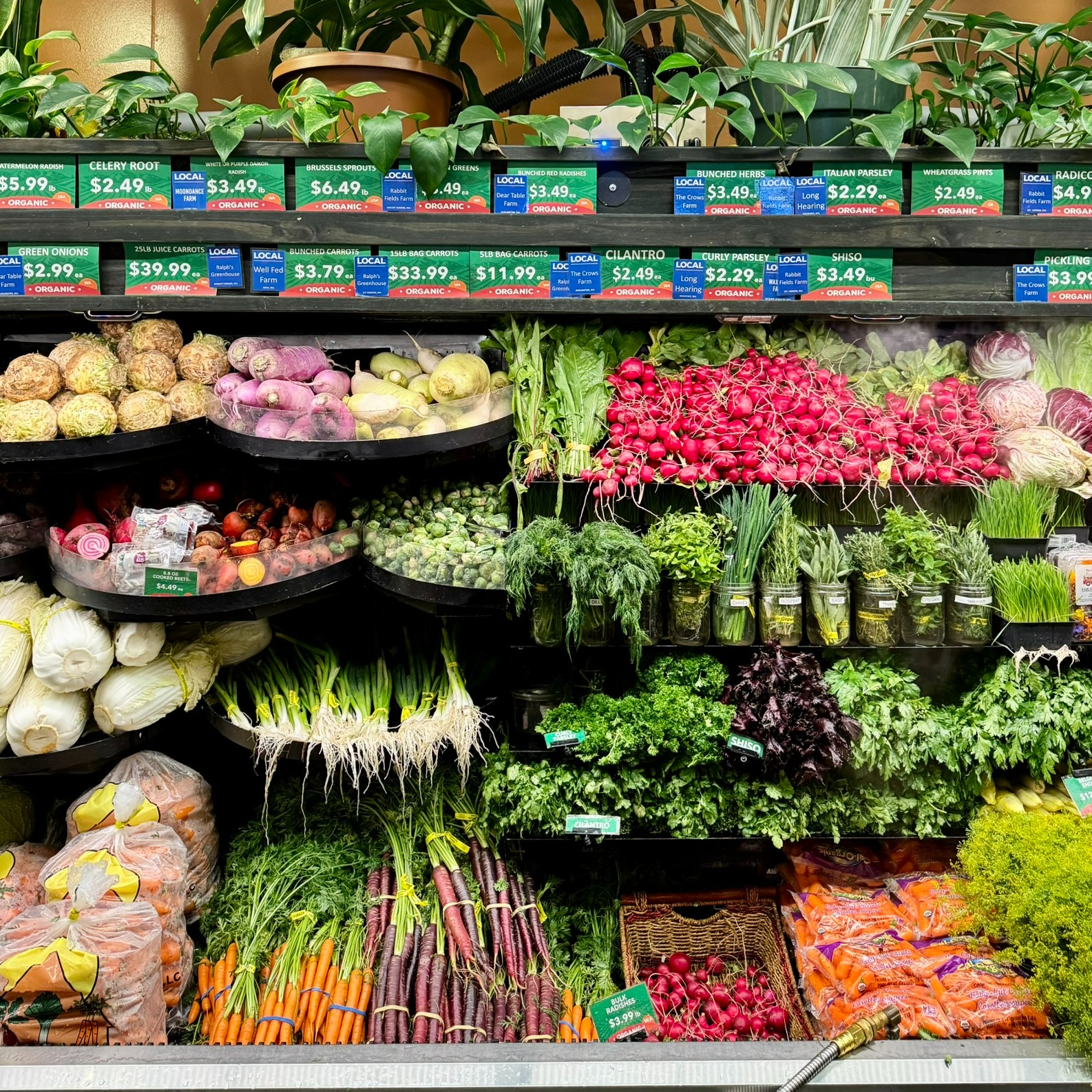 Skagit County Food Resources thumbnail