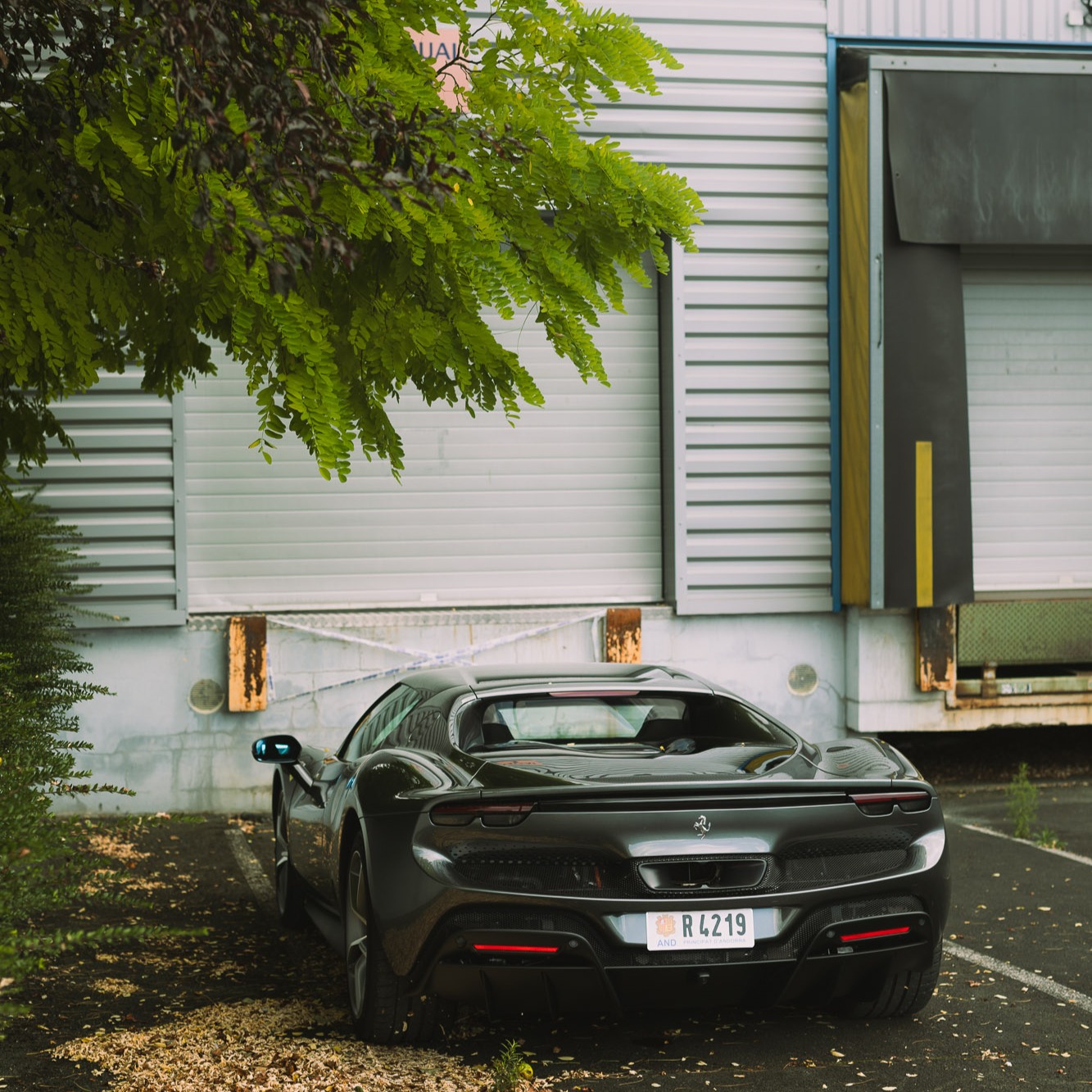 Ferrari 296 GTB thumbnail