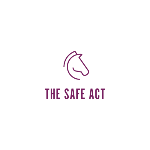 The SAFE Act thumbnail