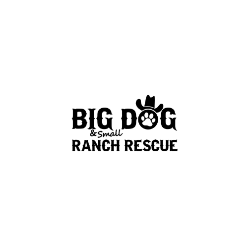 Big Dog Ranch Rescue thumbnail