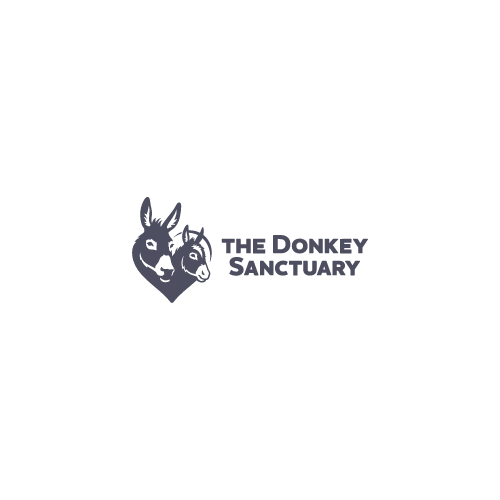 The Donkey Sanctuary thumbnail