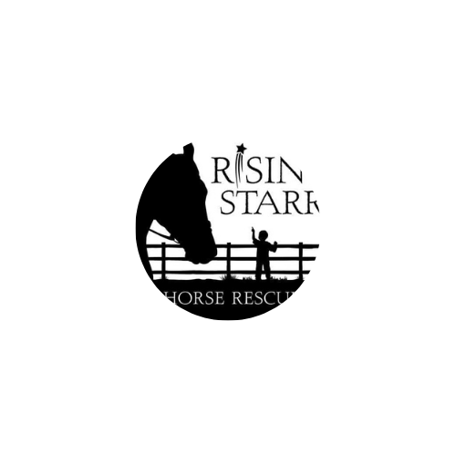 Rising Starr Horse Rescue thumbnail