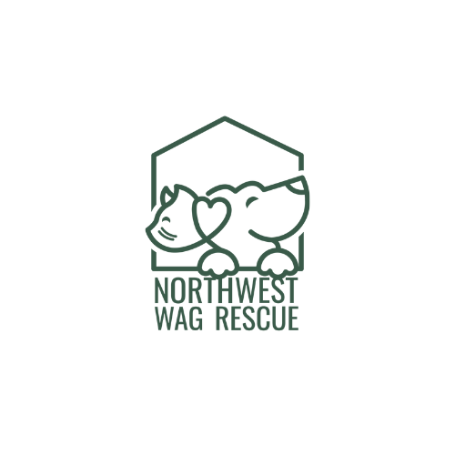 NorthWest Wag Rescue thumbnail