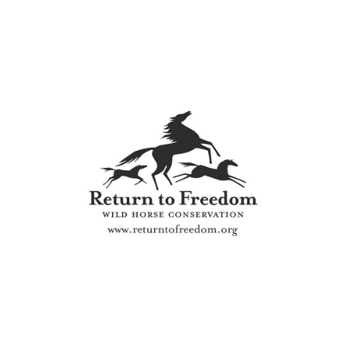 Return To Freedom thumbnail