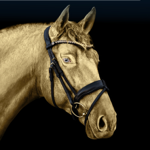 Bridlery ❤️‍🔥 thumbnail