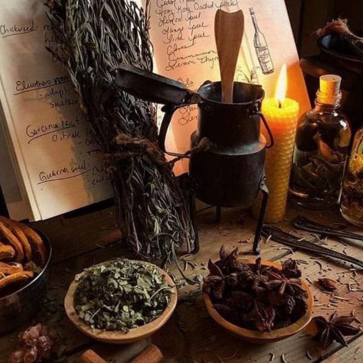 Health & Wellness thumbnail