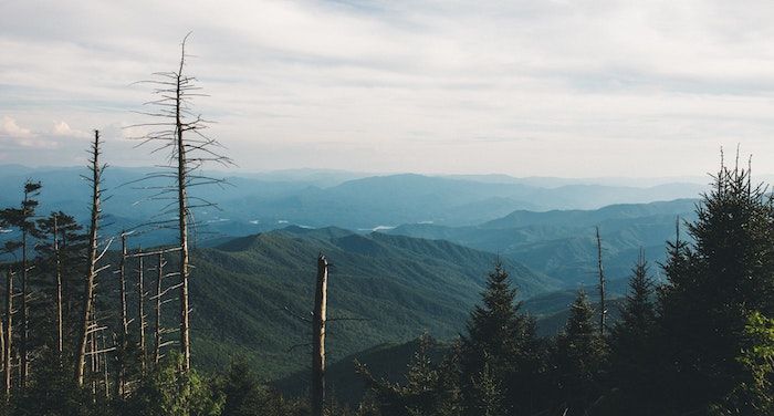 15 Books About Appalachia to Read Instead of HILLBILLY ELEGY thumbnail