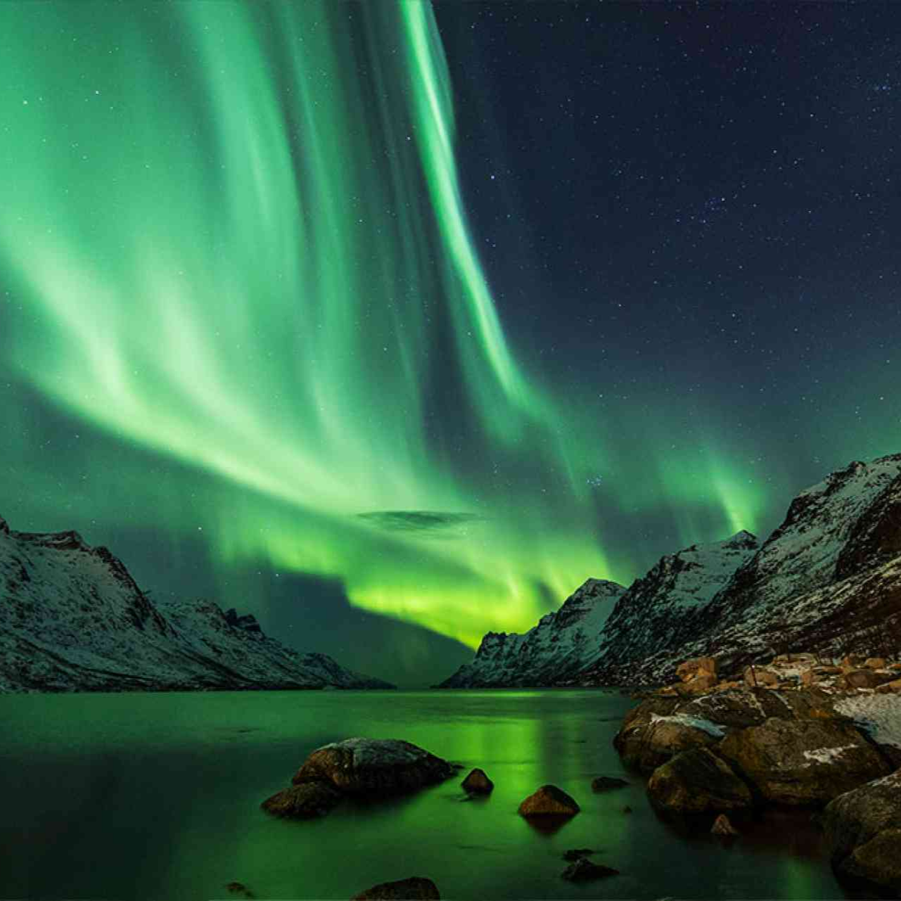 14-Day Arctic Journey & Northern Lights with History Channel | Nieuw Statendam | Nov 7-21, 2026 thumbnail