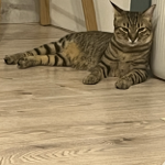 Tesla換購Tesla thumbnail