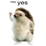 下訂前請先私訊訂購姓名/電話/信箱 thumbnail