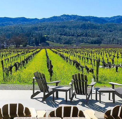 Weekend Getaway: Napa Valley thumbnail