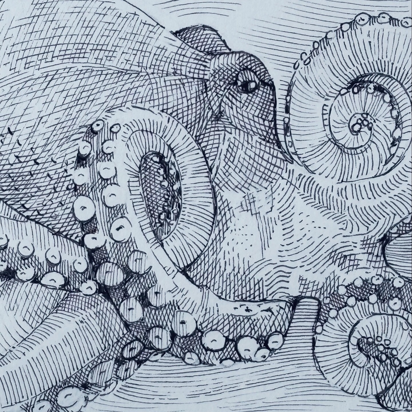 Ambassador for the Lumos Pen by Tom's Studio thumbnail